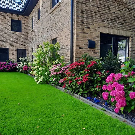 Lejlighed Neu! Amrum *