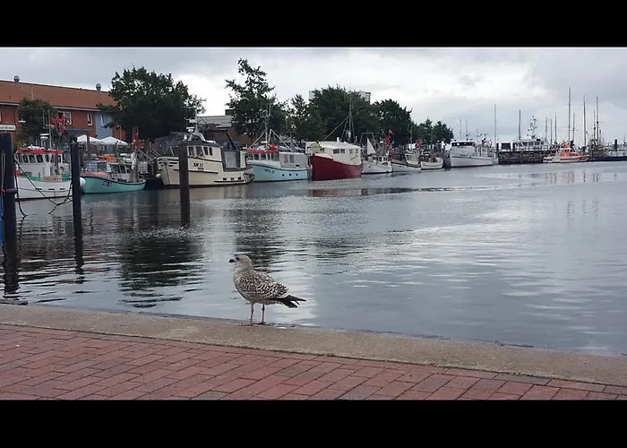 Appartement Neu! Amrum